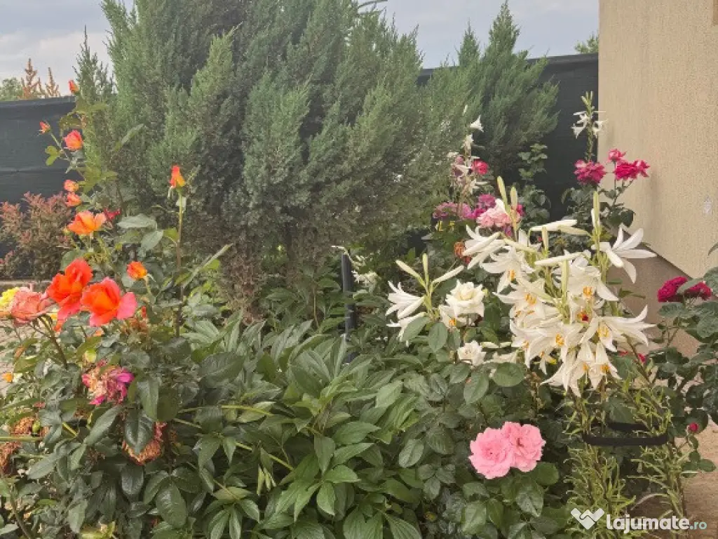 Vila premium PETRESTI, Corbeanca 