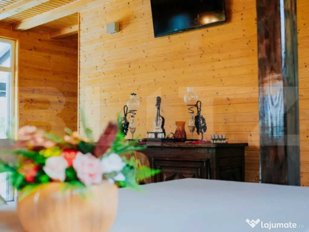 Proprietate pe malul Mureșului – Stâna de Mureș