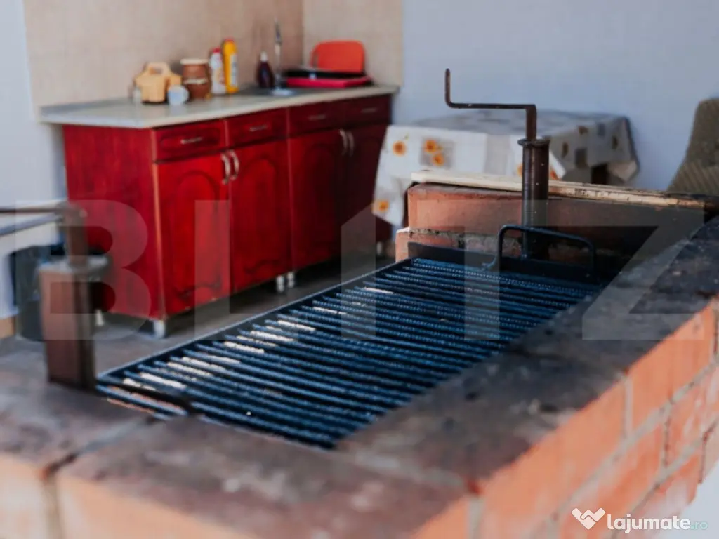 Proprietate pe malul Mureșului – Stâna de Mureș