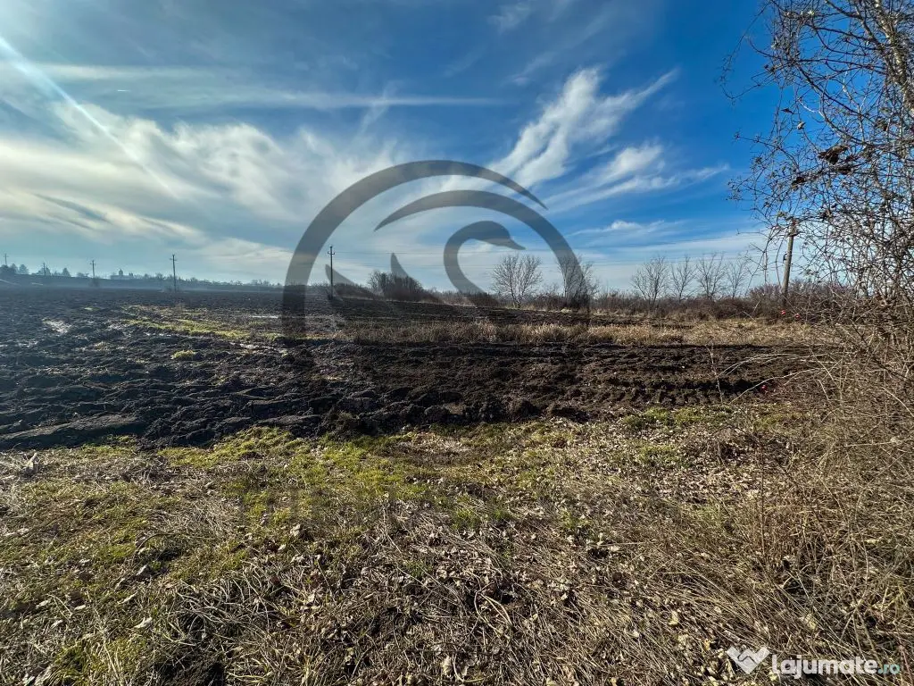 Teren intravilan de vanzare | 10.083 MP | DN1, Potigrafu ... 