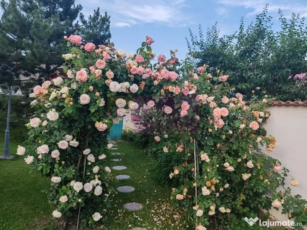 Vila superba in stil mediteranean Saftica- Corbeanca- COM...