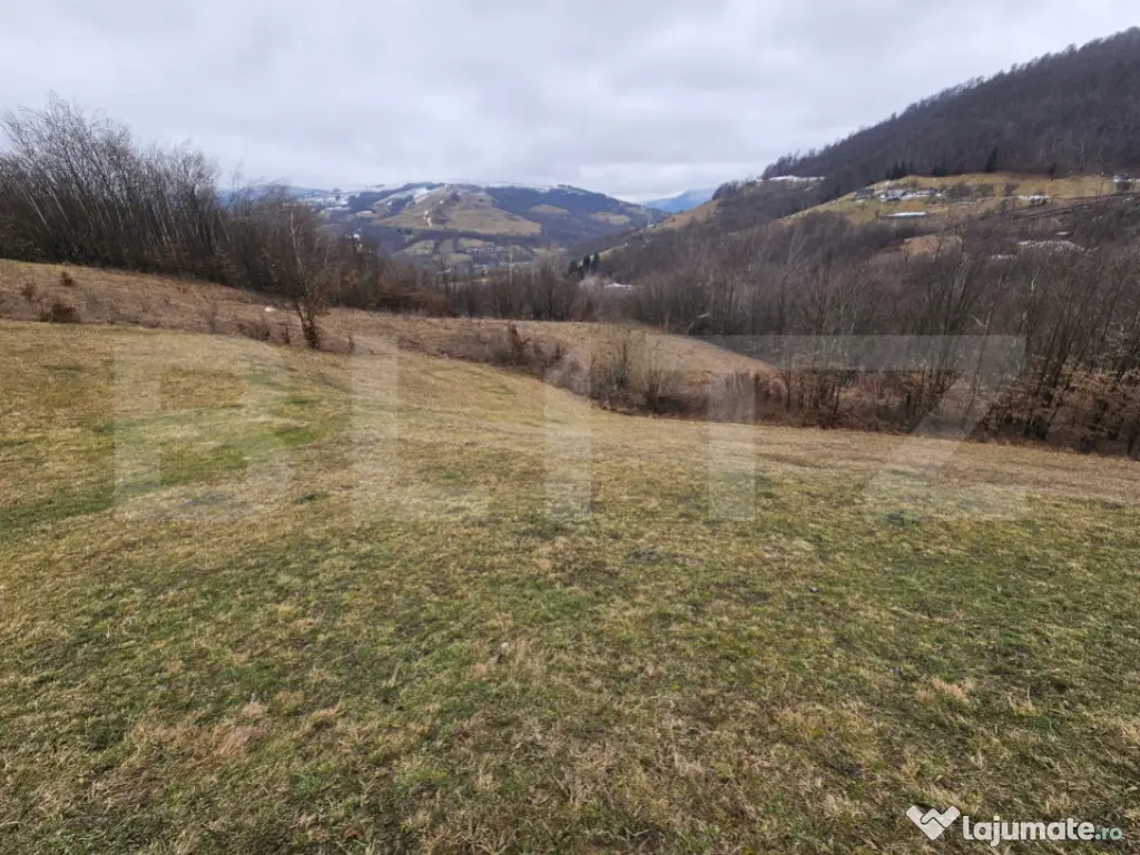 Teren extravilan de 13139 mp – Abrud