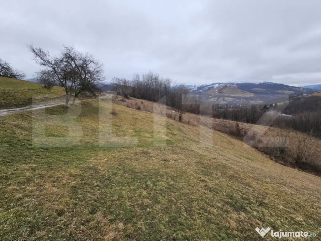 Teren extravilan de 13139 mp – Abrud