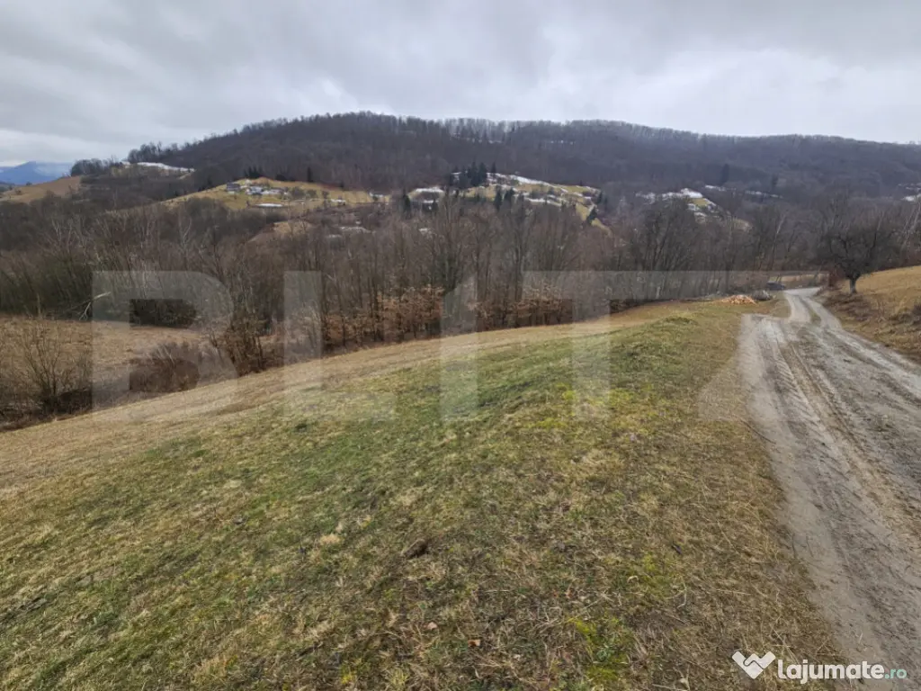 Teren extravilan de 13139 mp – Abrud