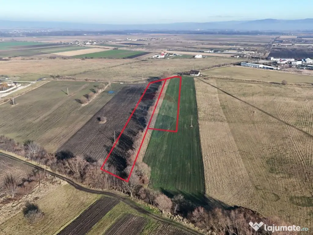 Teren extravilan cu potențial ridicat industrial/reziden...