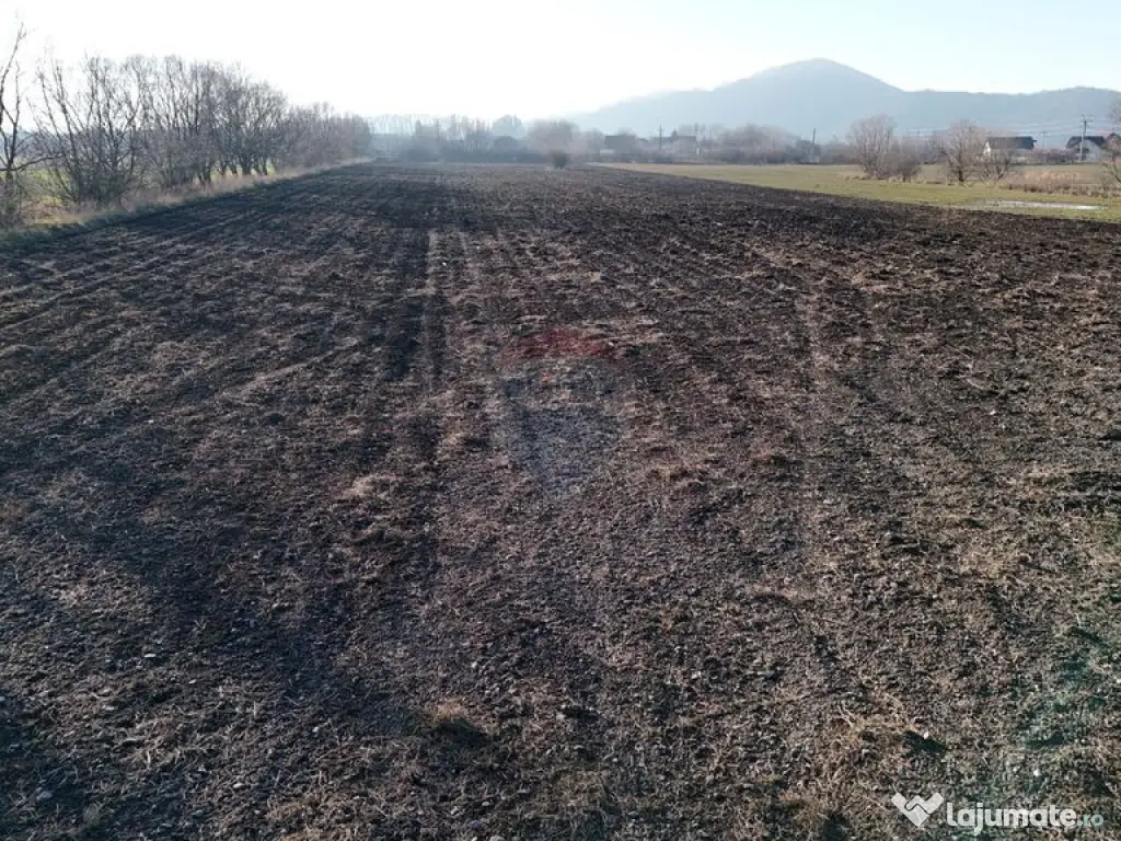 Teren extravilan cu potențial ridicat industrial/reziden...