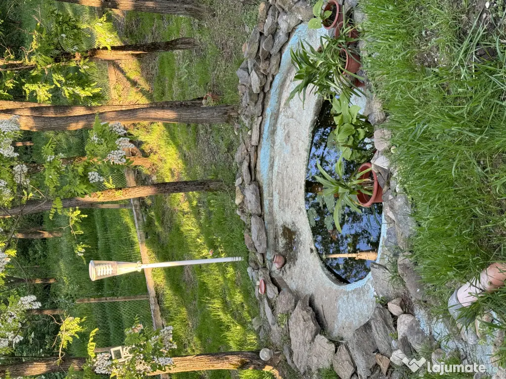 Vand casa in Lugojel aproape de Timis 