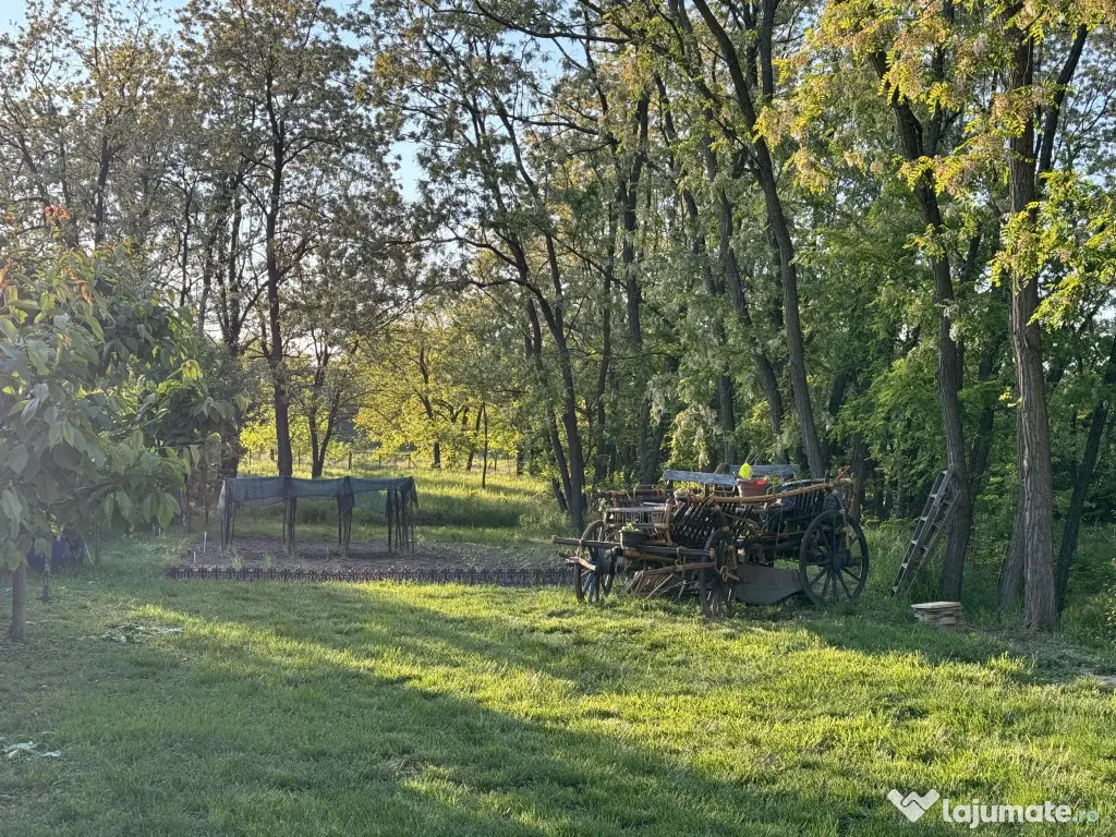 Vand casa in Lugojel aproape de Timis 