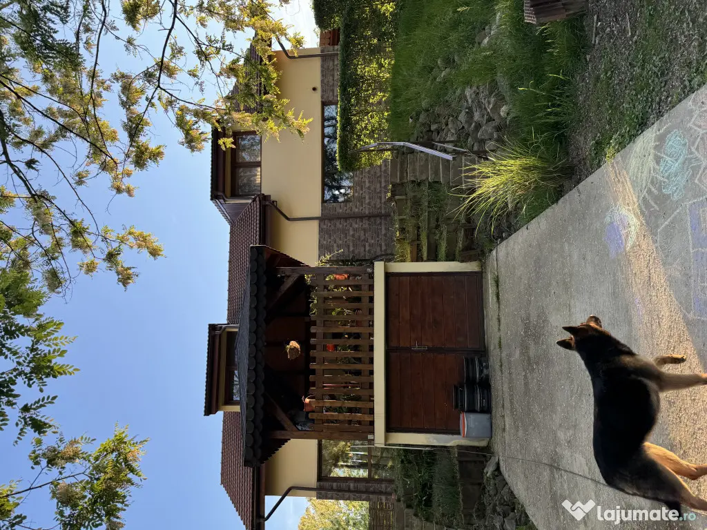 Vand casa in Lugojel aproape de Timis 