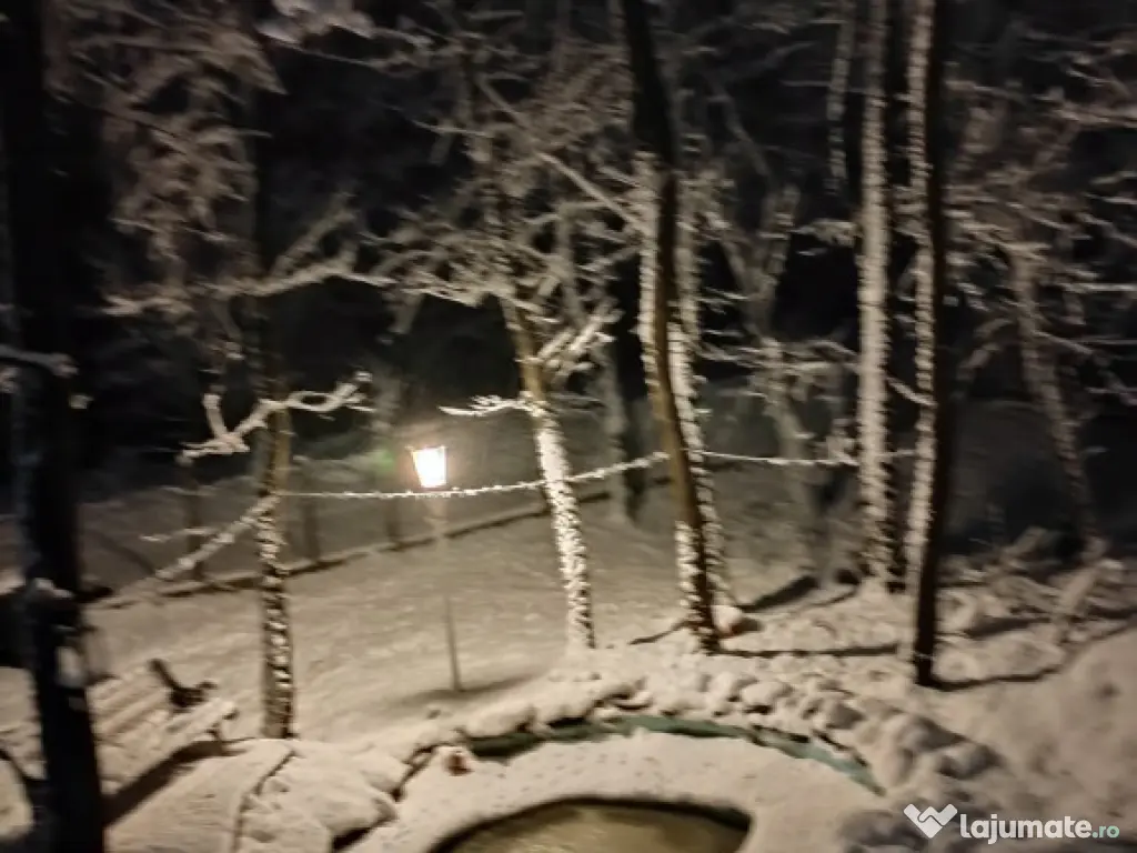 Vand casa in Lugojel aproape de Timis 