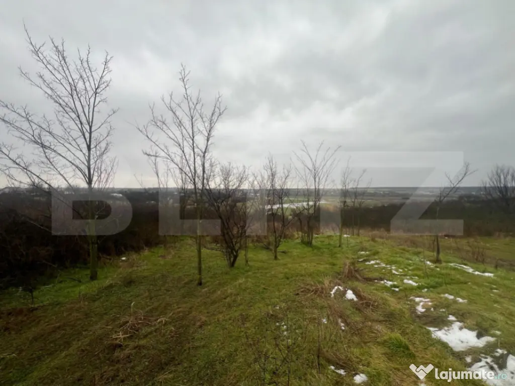 Teren intravilan,2200mp,robanesti 