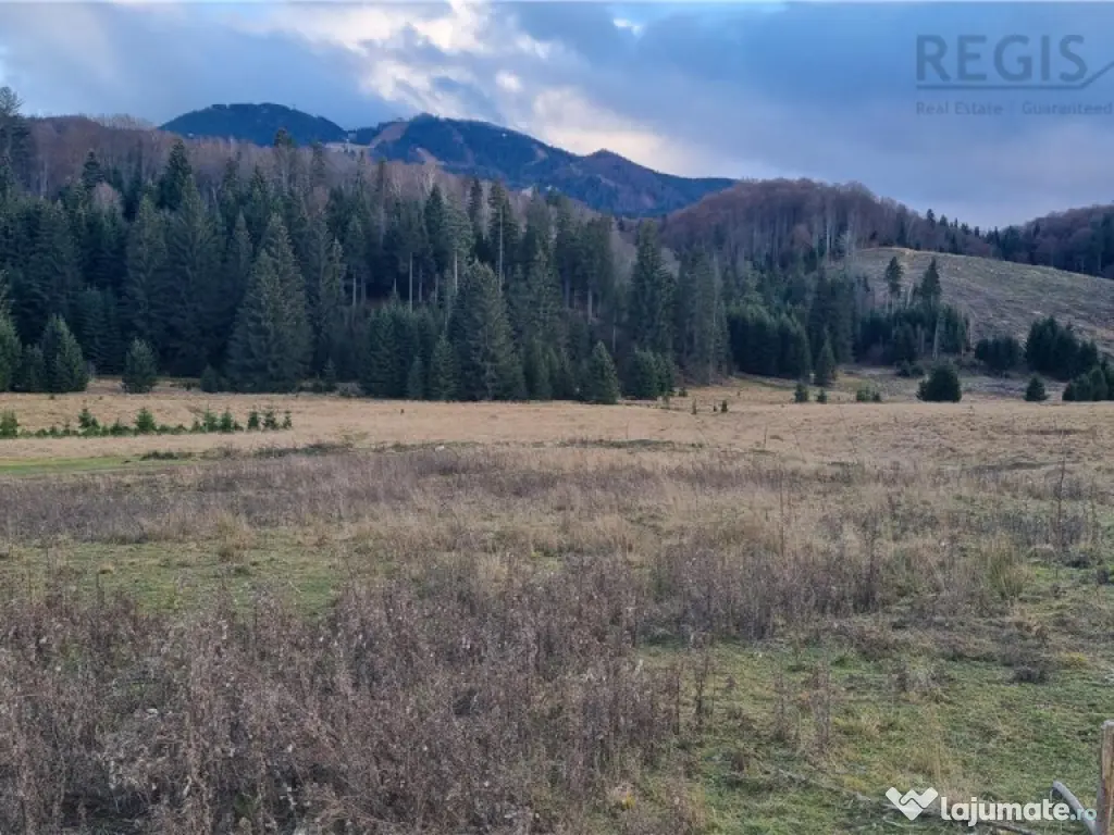Teren intravilan zona Silver Mountain , Poiana Brasov 