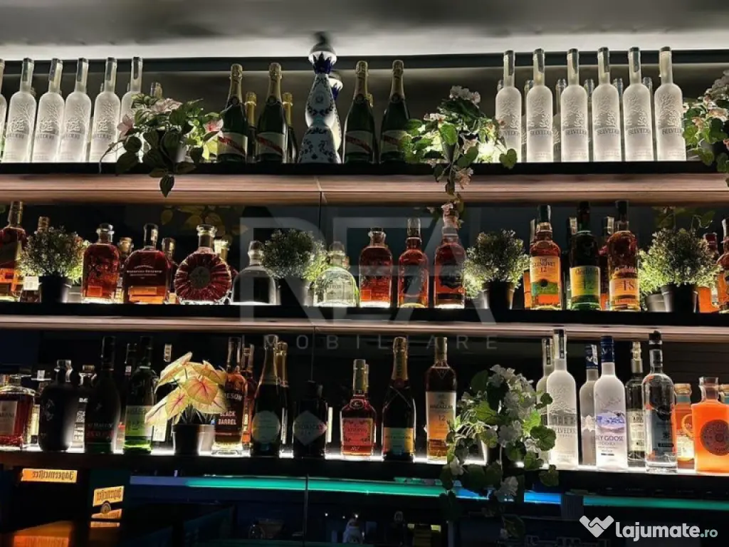 Spațiu comercial închiriat pentru pub/bar Calea Victoriei 