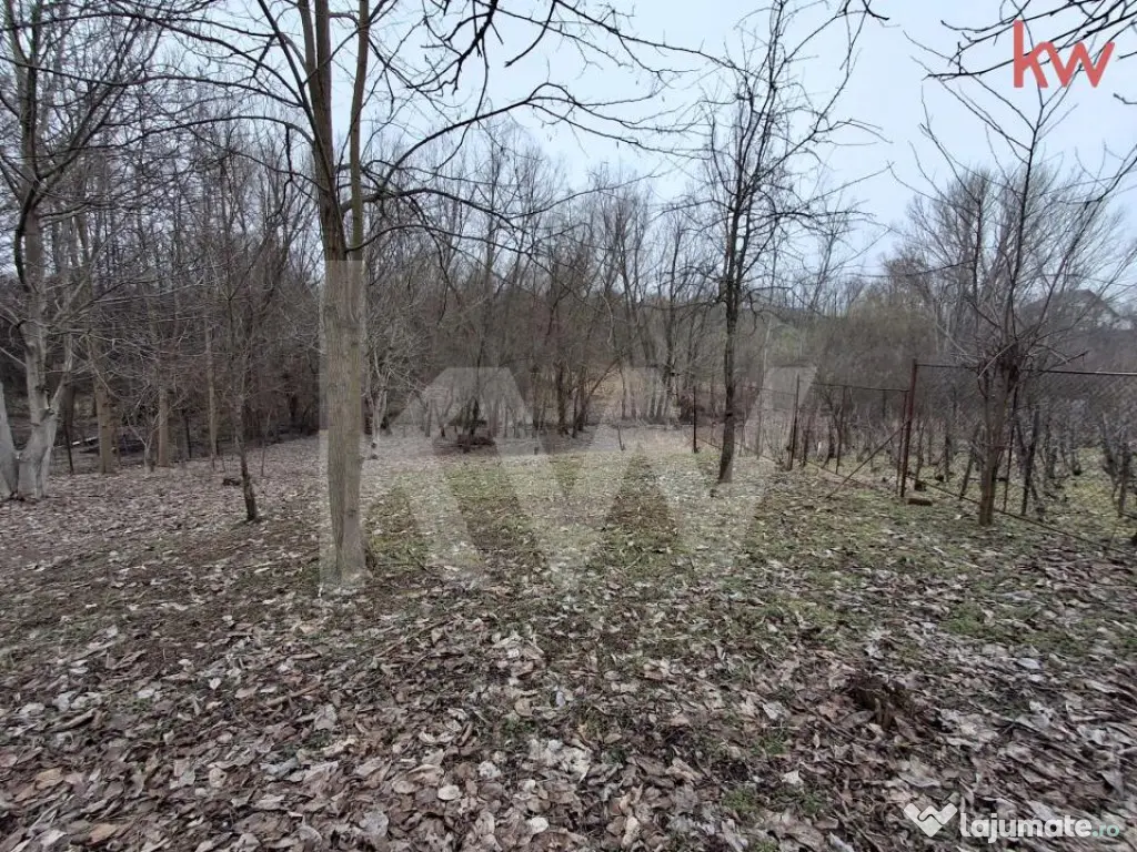 Vânzare Teren Malu Mare * zona centrală 