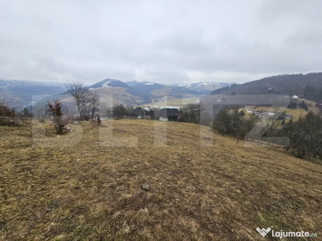Casă de munte cu teren generos de 7.297 mp, Dăroaia, comun 