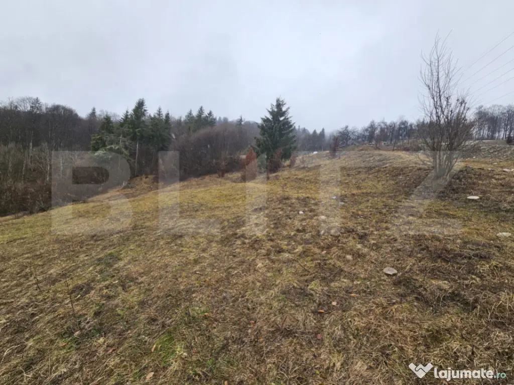 Casă de munte cu teren generos de 7.297 mp, Dăroaia, comun 