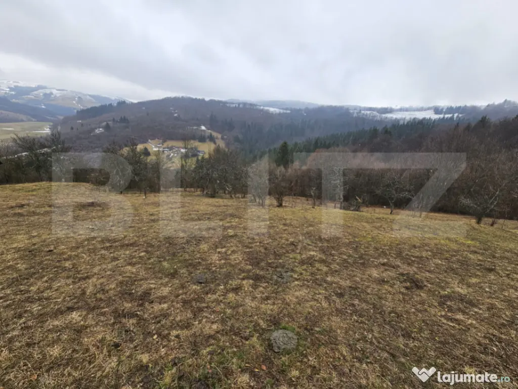 Casă de munte cu teren generos de 7.297 mp, Dăroaia, comun 