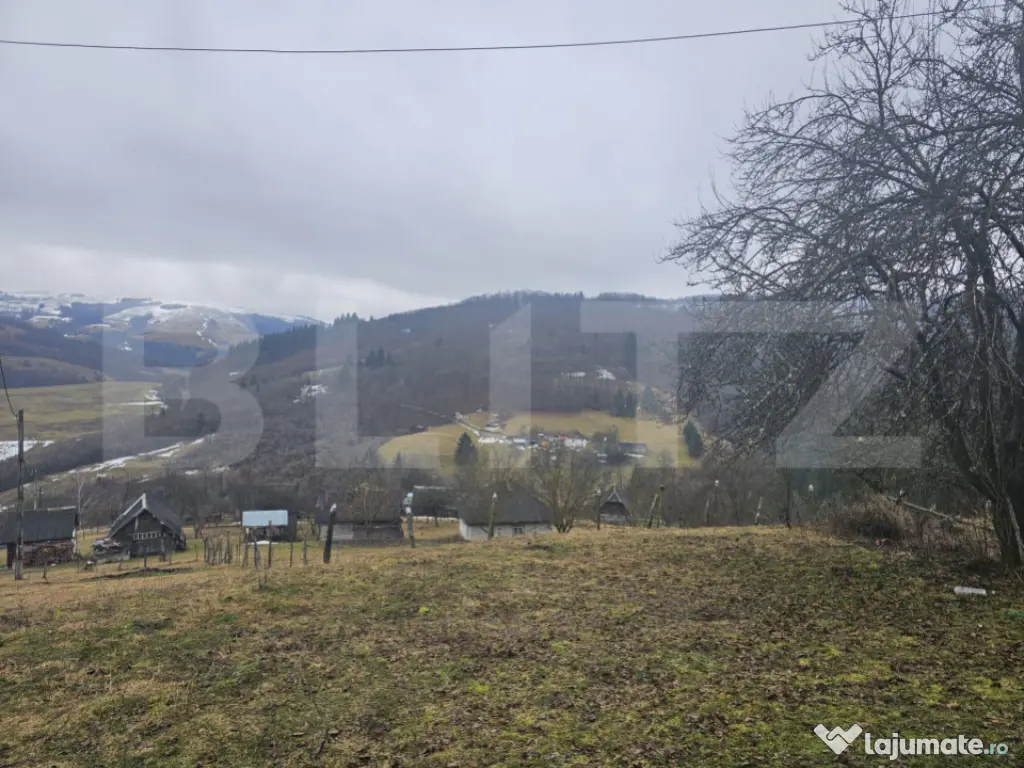 Casă de munte cu teren generos de 7.297 mp, Dăroaia, comun 
