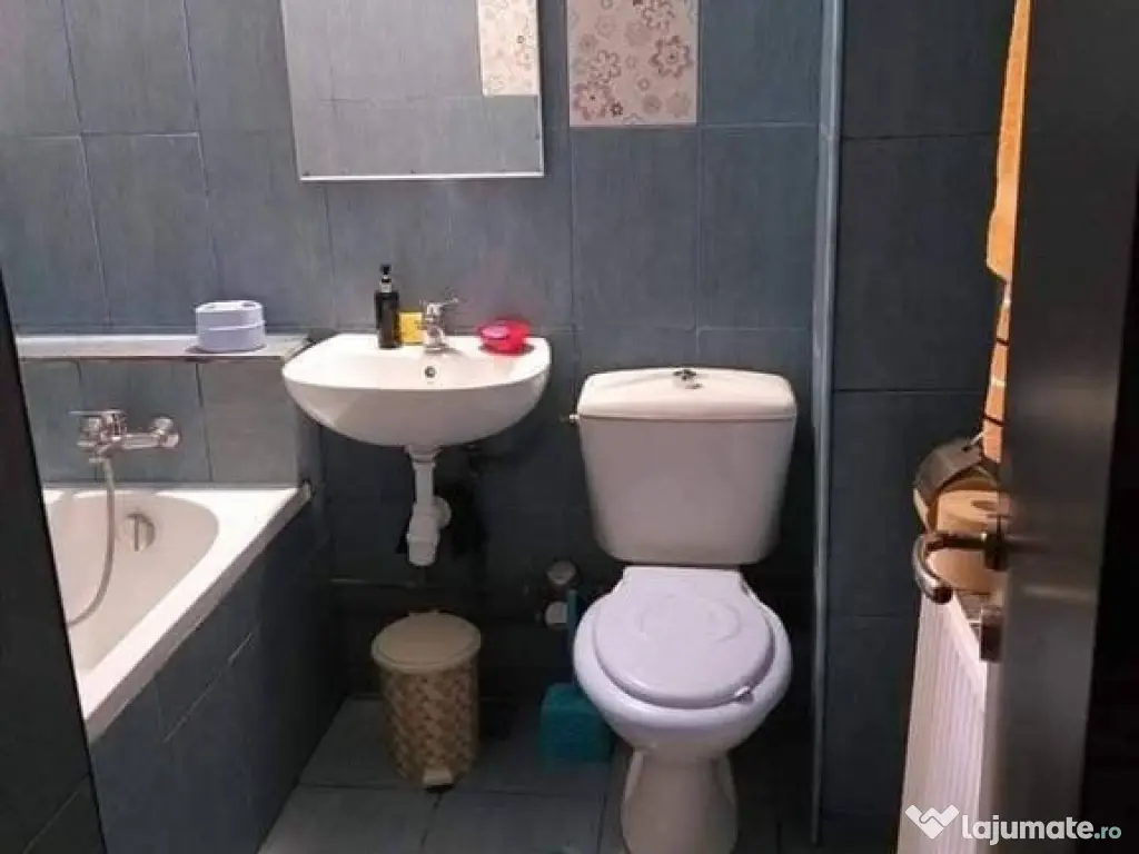 Apartament cu 2 camere zona Dobrogea 