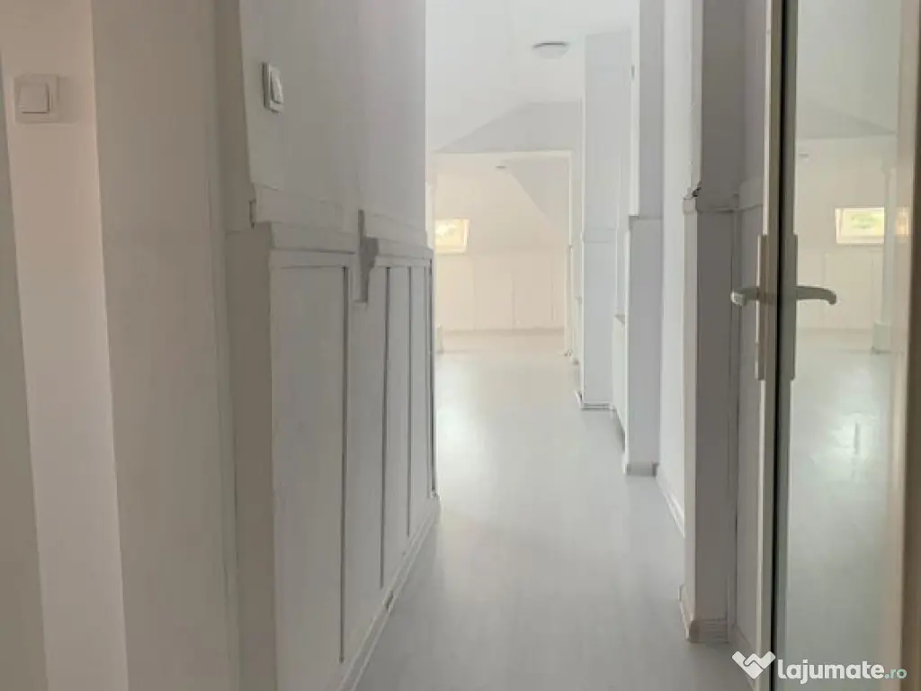 Casa cu destinatie comerciala 335 mp 