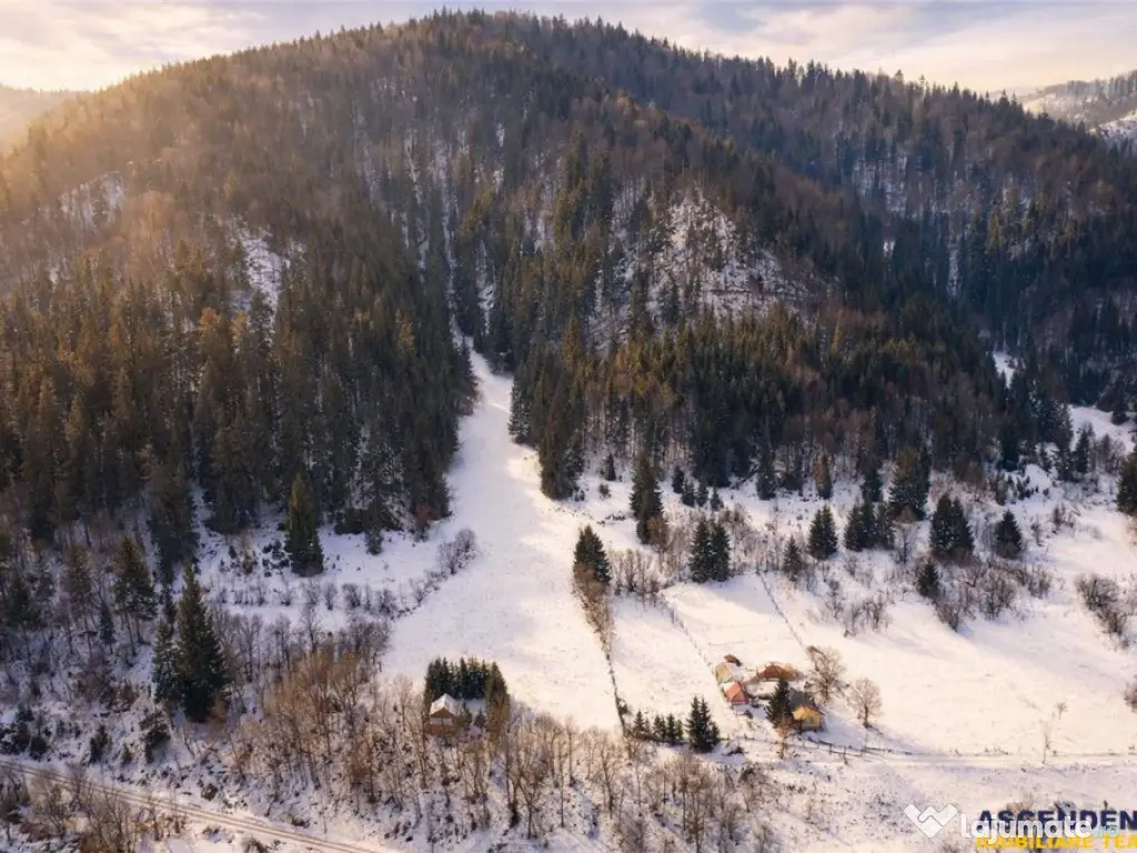 FILM!Teren 7.800mp,fosta partie de schi,investitie turistica 