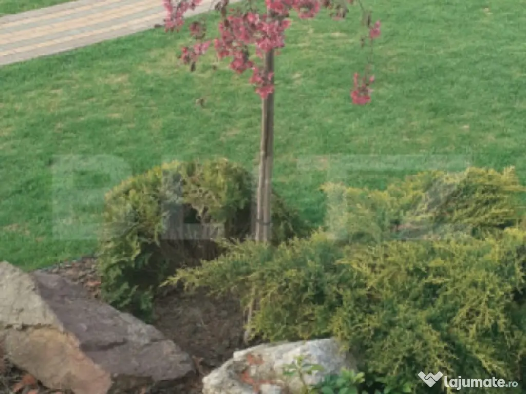 Casa/Vila 236 mp utili, 2743 mp teren, zona Mereni - Salcea 