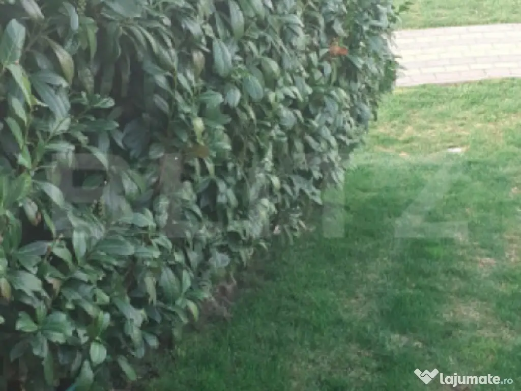 Casa/Vila 236 mp utili, 2743 mp teren, zona Mereni - Salcea 