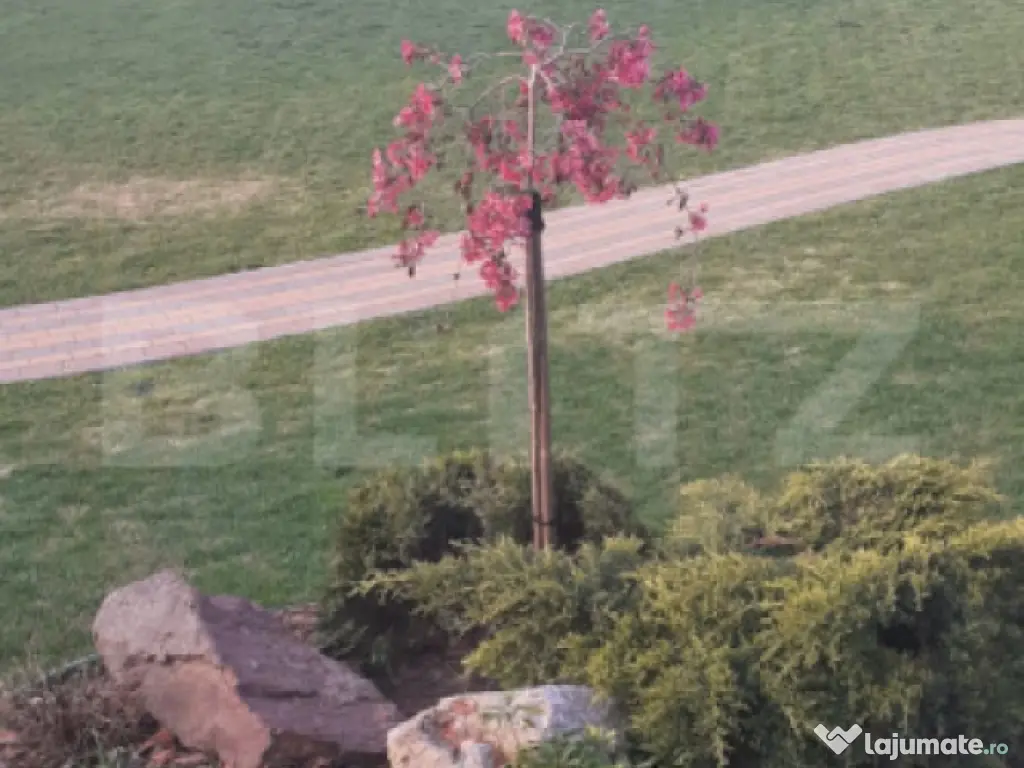 Casa/Vila 236 mp utili, 2743 mp teren, zona Mereni - Salcea 