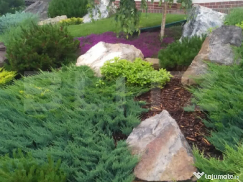 Casa/Vila 236 mp utili, 2743 mp teren, zona Mereni - Salcea 