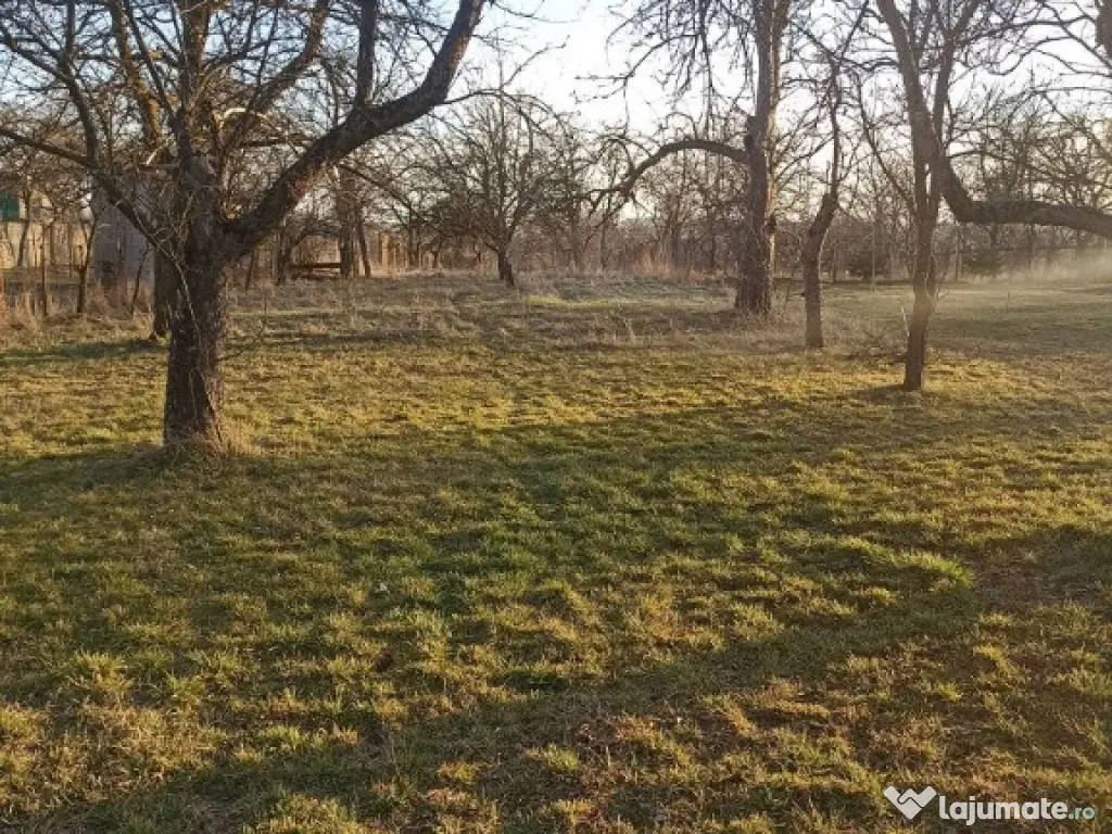 De vânzare casă particulară în Arcus 