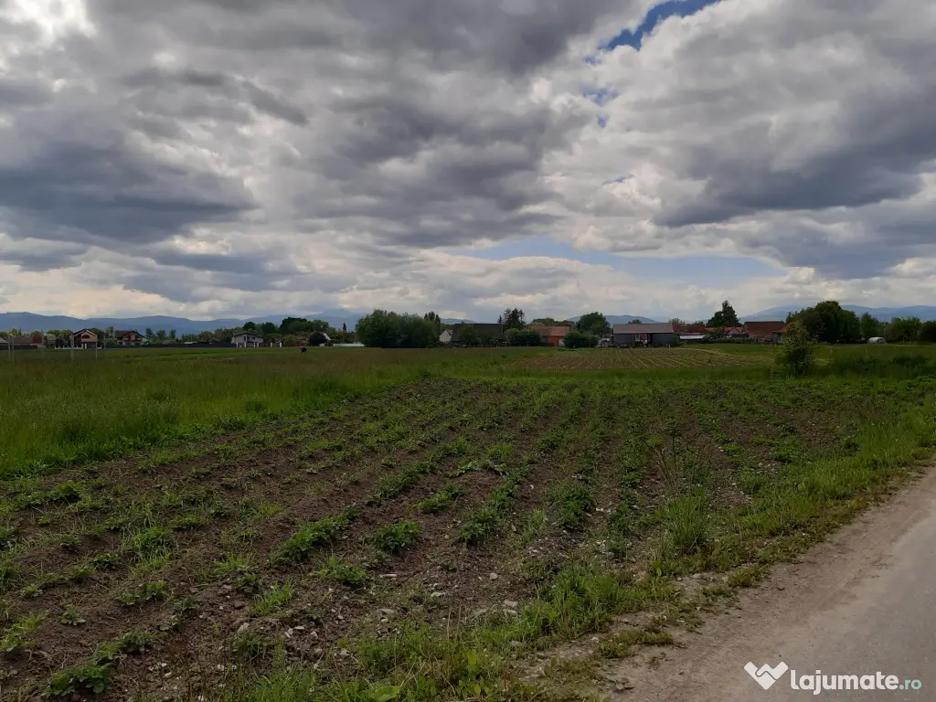 Vand teren intravilan construibil utilitati la drum asfaltat 5000 mp 