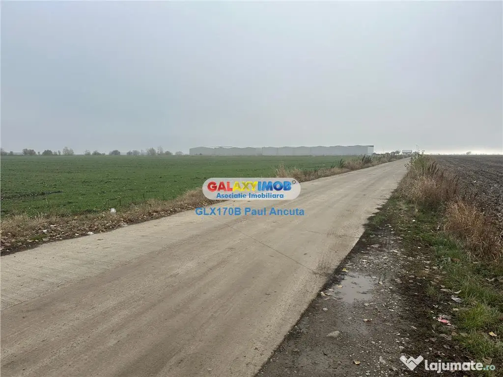 Teren la sosea Afumati Petrachioia 29500 mp pentru Industria 