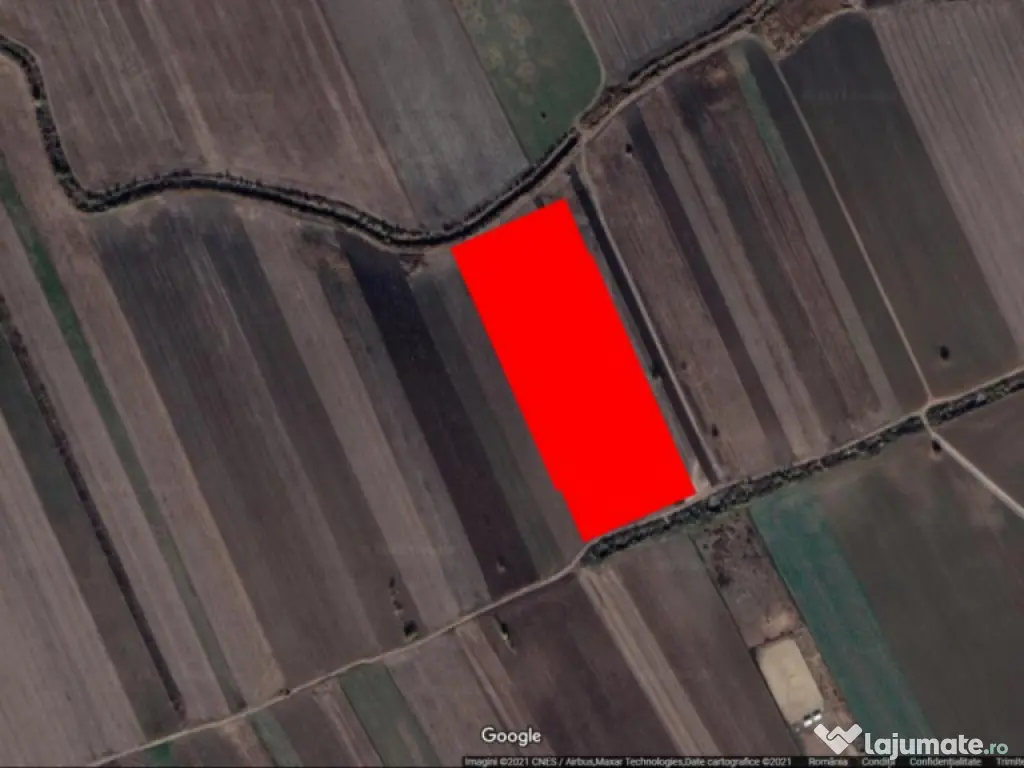 Teren Dascalu 19000 mp - Posibilitate de parcelare! 