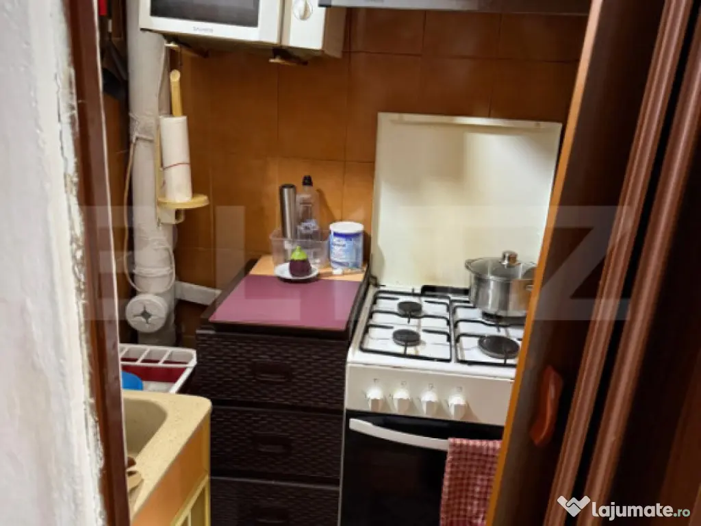Garsoniera de vanzare, 22 mp, Targu Jiu 