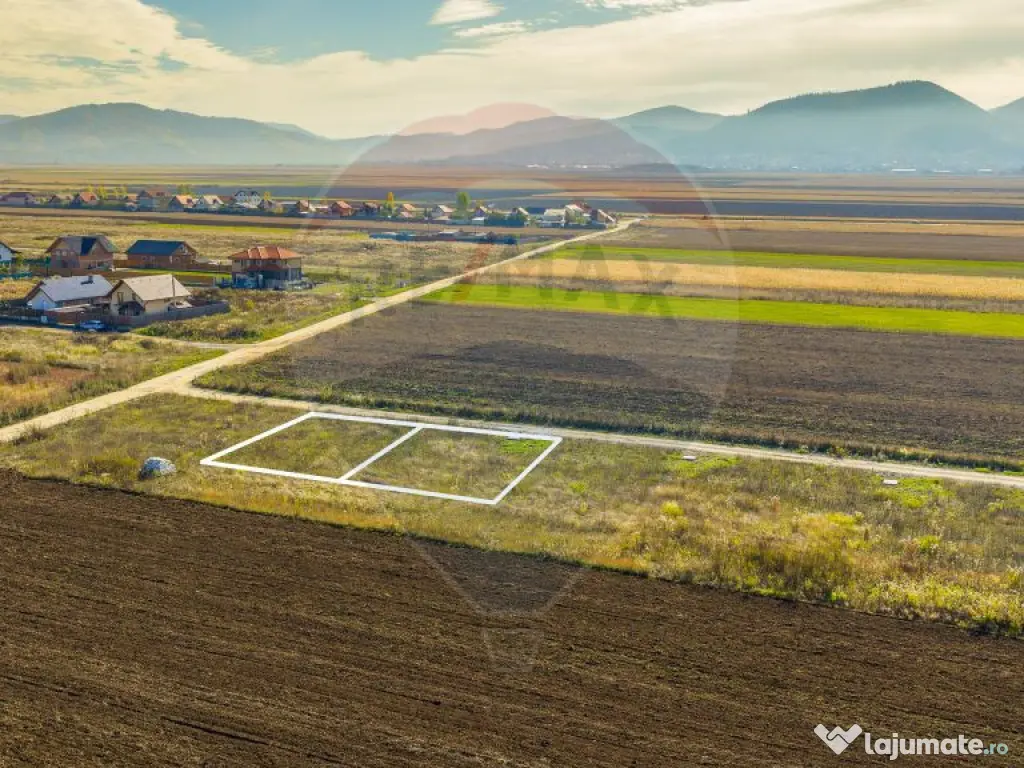 0% Comision | Teren 650 mp | Sacele, Str. Venus | INTRAVILAN 