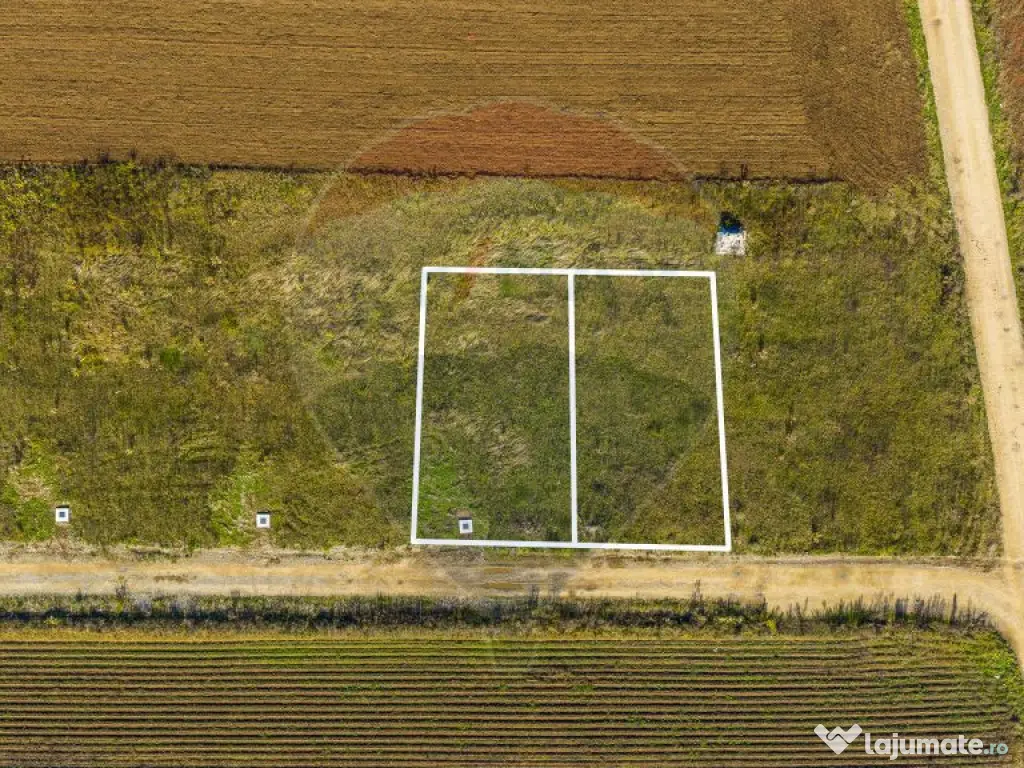 0% Comision | Teren 650 mp | Sacele, Str. Venus | INTRAVILAN 