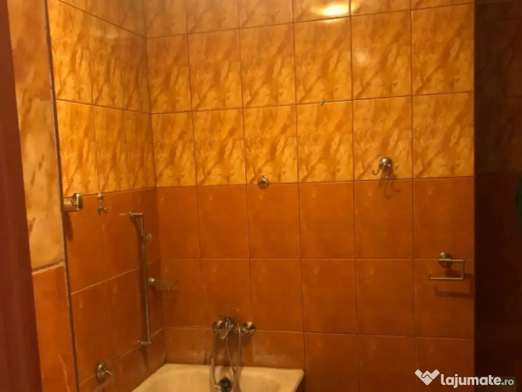 Garsoniera spre inchiriere str. salciilor 