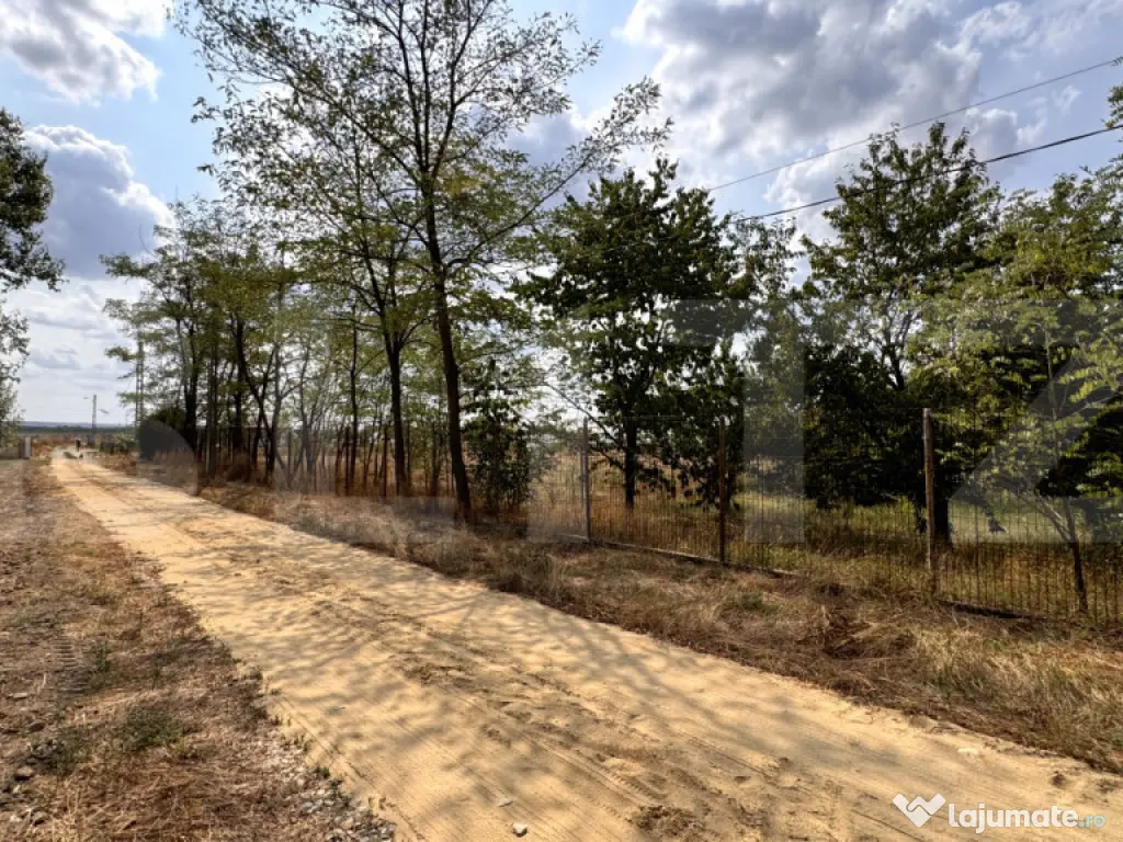 Teren EV și IV cu casă, 29.600 mp, utilități și acces f 