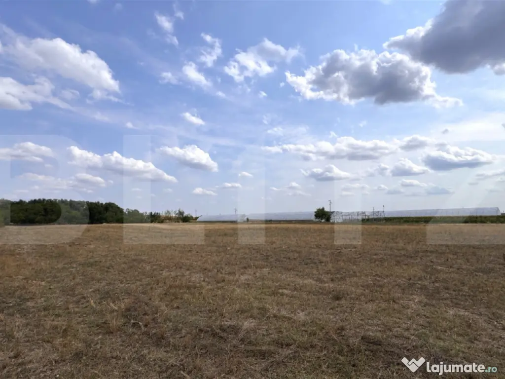 Teren EV și IV cu casă, 29.600 mp, utilități și acces f 