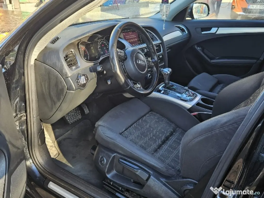 Siberiană de pădure puiuți superbi 