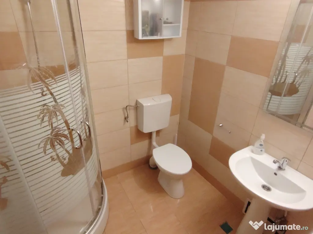 Vând cabana Muntele Baisorii 