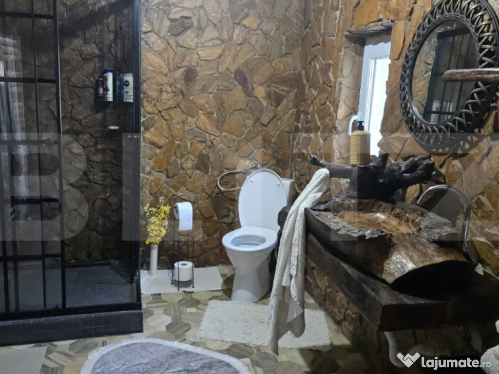 Casa 5 camere 259 mp, 2800 mp teren - Culciu Mic 