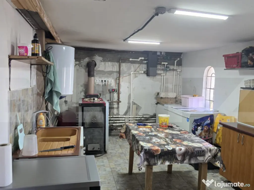 Casa 5 camere 259 mp, 2800 mp teren - Culciu Mic 