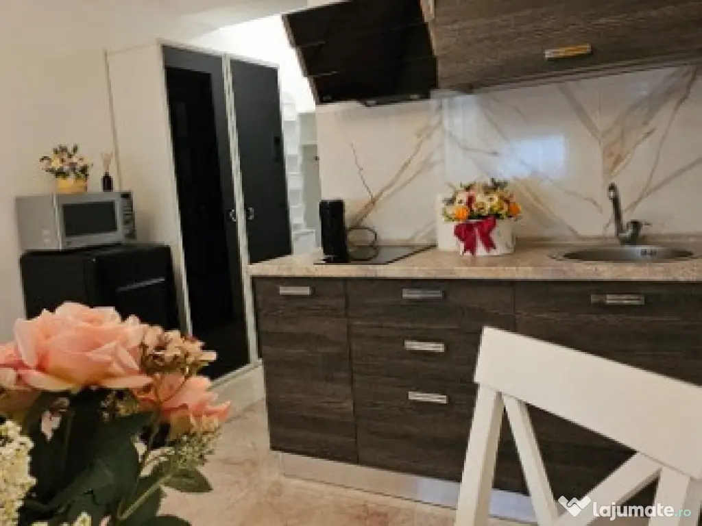 Apartament Copou Exclusive Residence 