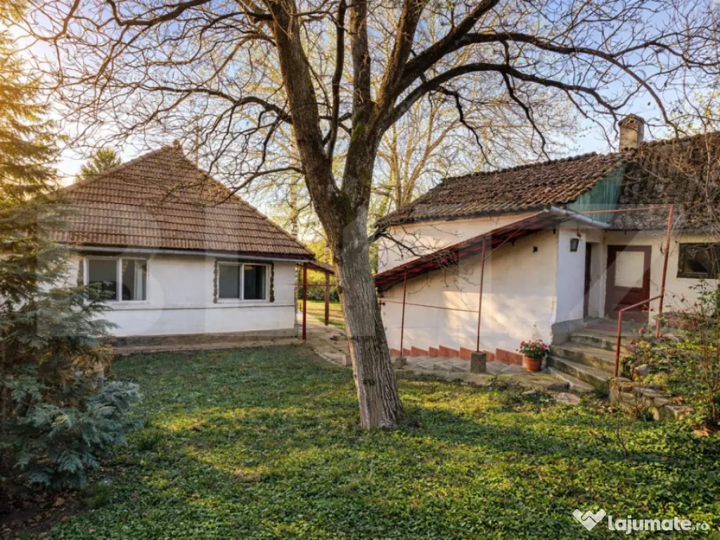 Casă cu teren generos in zona centrala 