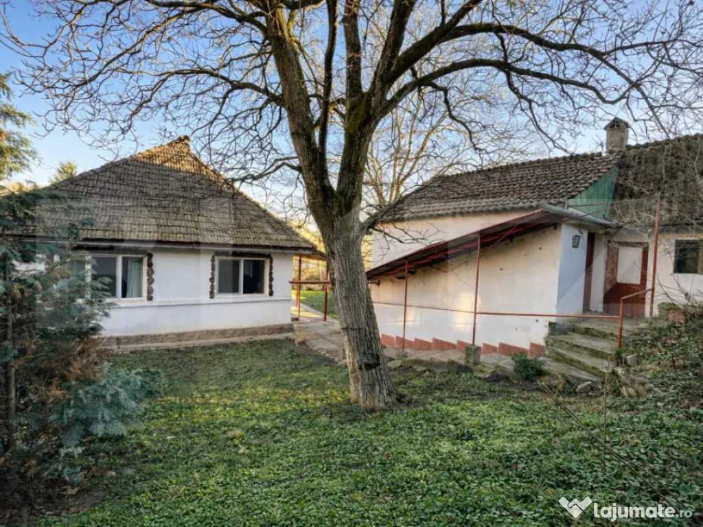 Casă cu teren generos in zona centrala 