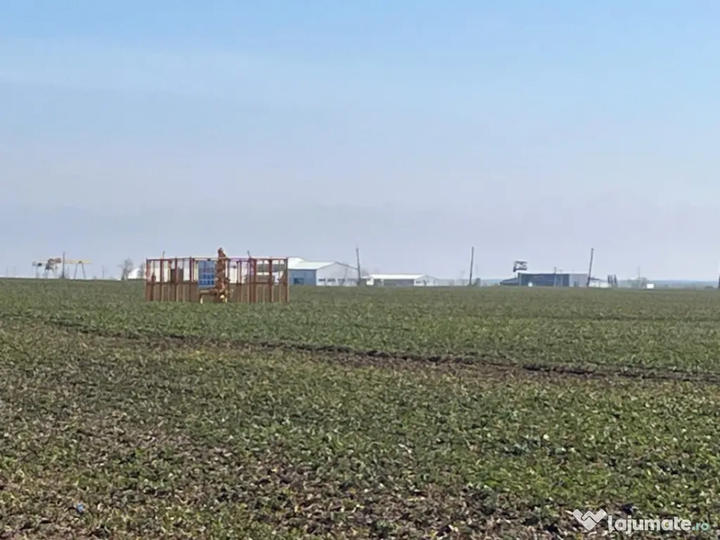 Teren intravilan 5000 mp – posibilitate parcelare, ideal i 