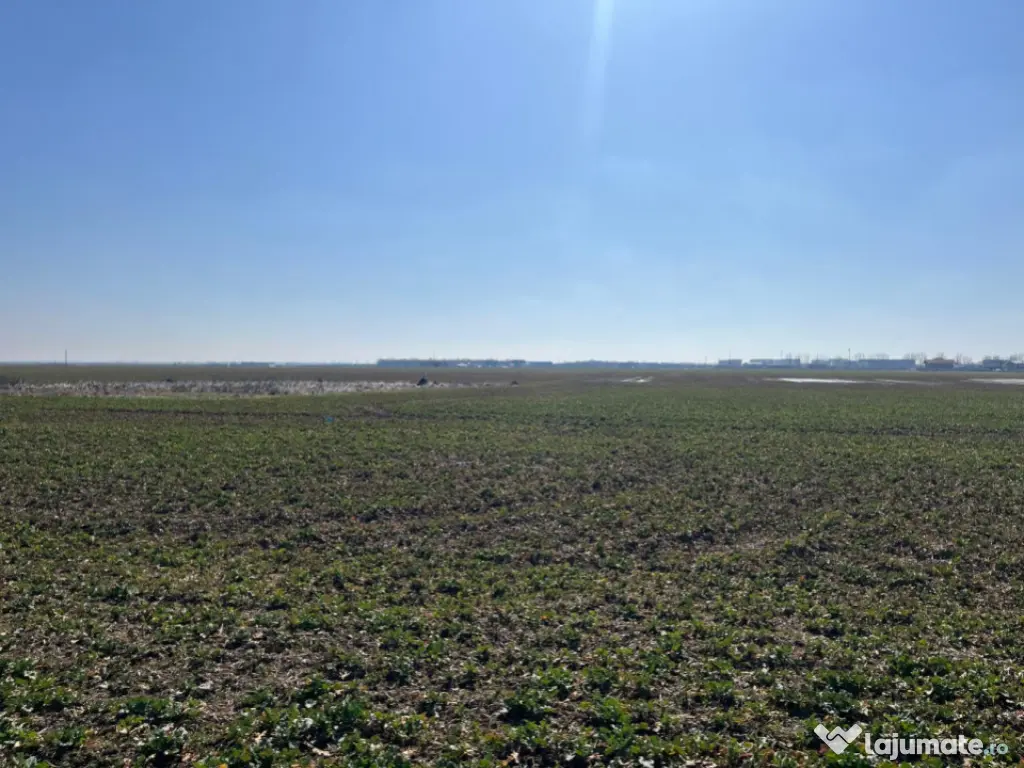 Teren intravilan, 5000 mp, zona Peugeot