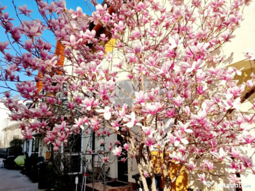 Vilă de vânzare – mobilată și utilată/complex privat 