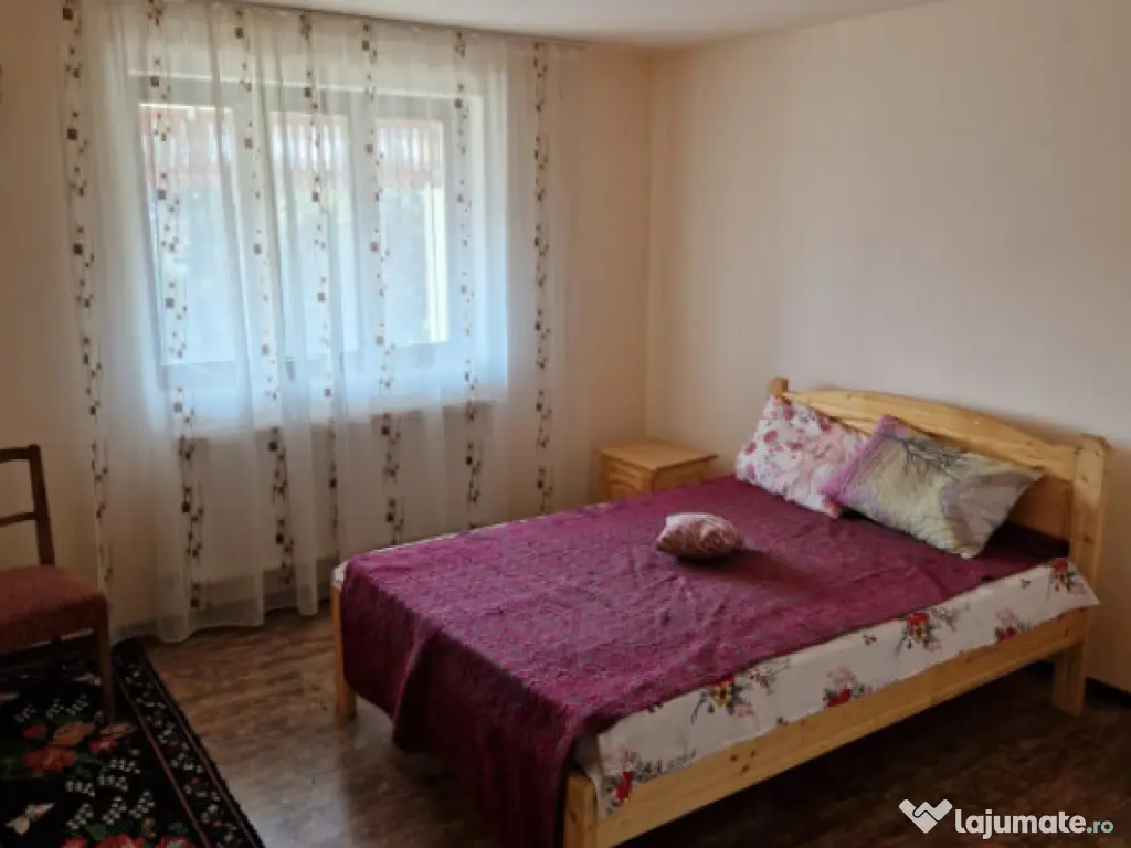 Domeniu boieresc cu conac și lac privat – Pleșoiu, Olt 